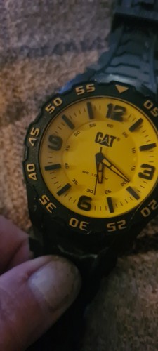 Cat caterpillar motion - caterpillar, men's