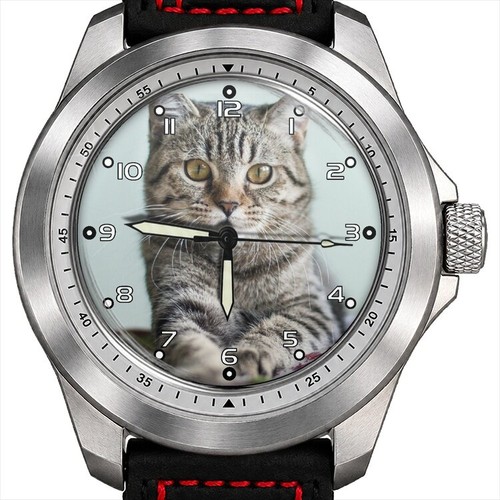 Trendy cat lover stealth - trendy,