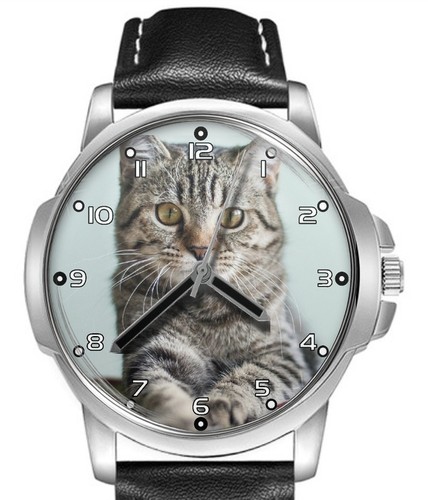 Trendy cat lover leather - lover, strap